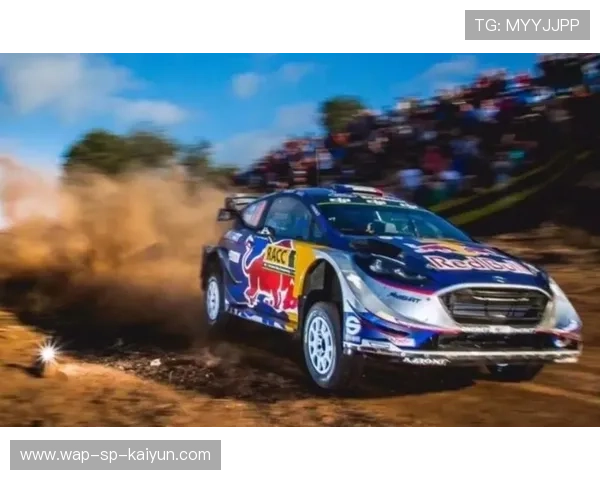 WRC紧张排位:谁能占据有利位置?,wrc比赛规则