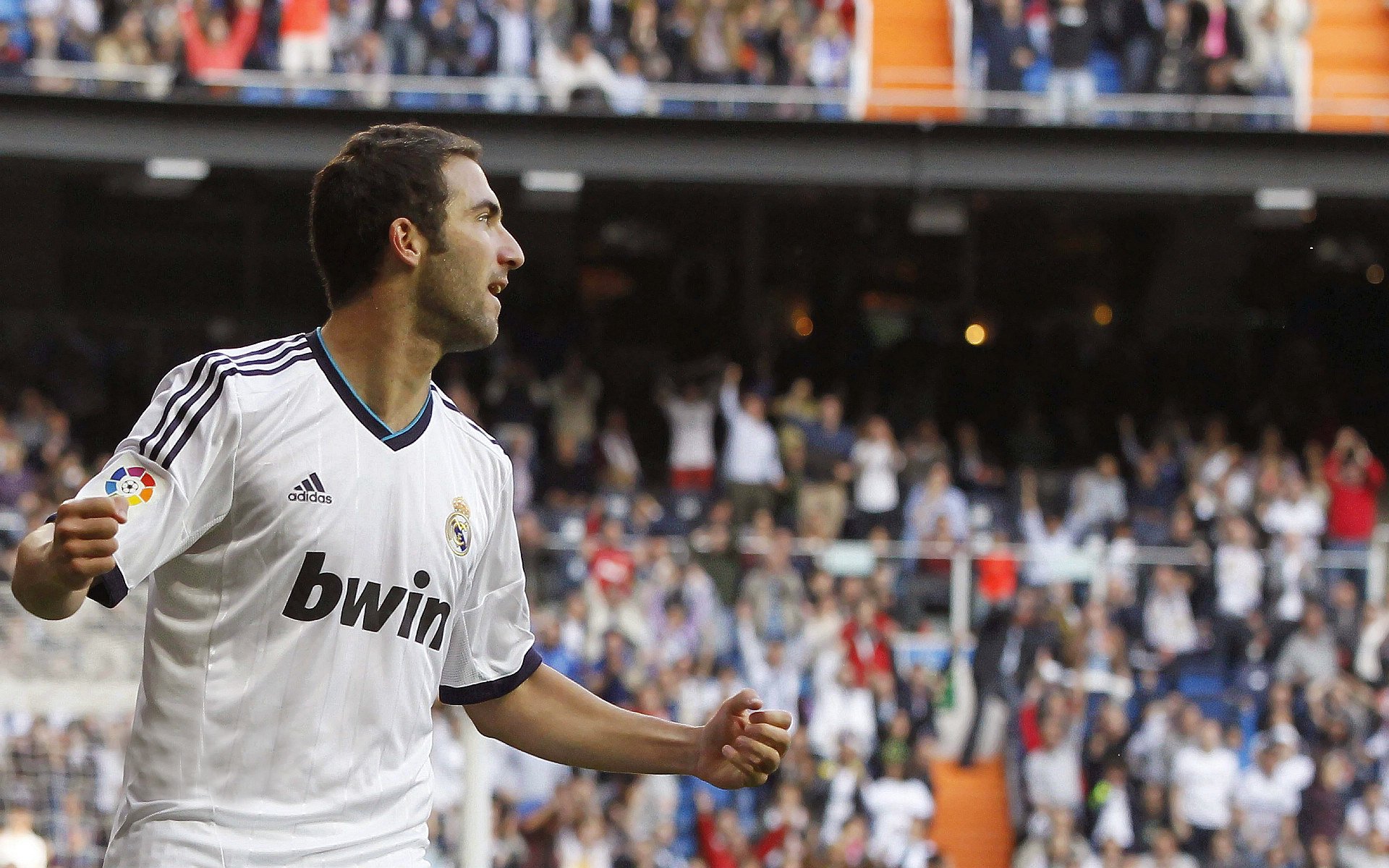 F1圣保罗大奖赛火热开启,维斯塔潘卫冕冲击,勒克莱尔双喜临门迎冠战